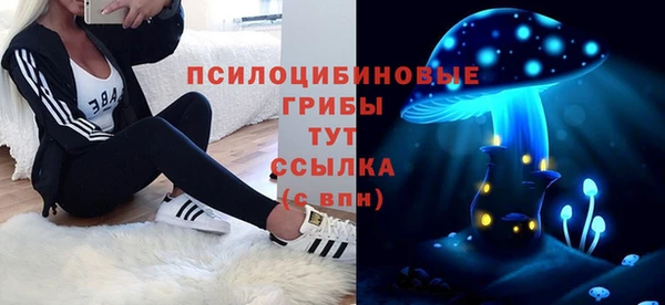 ECSTASY Алзамай