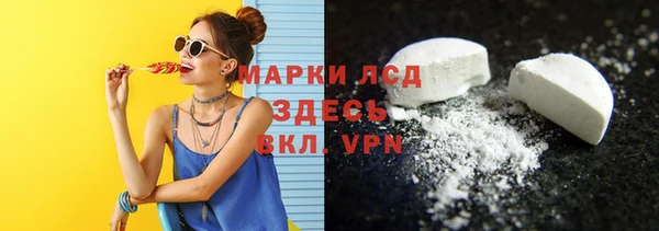ECSTASY Алзамай