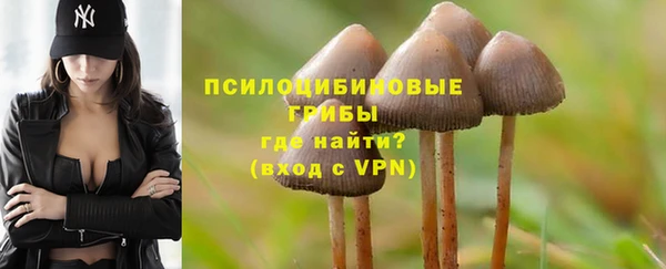 спиды Алексеевка