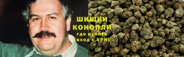 ECSTASY Алзамай