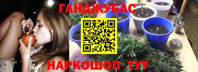 мдпв Гудермес