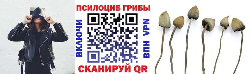KRAKEN ссылки  Большой Камень  Галлюциногенные грибы Cubensis 