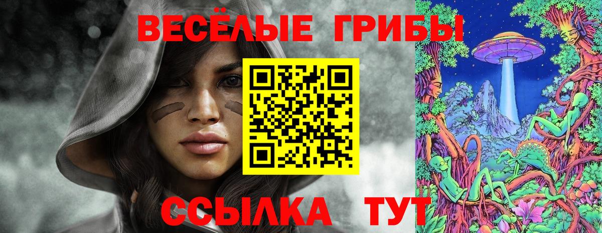 Большой Камень  Галлюциногенные грибы Psilocybe  Вход с VPN 