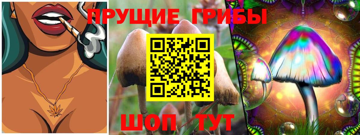 Галлюциногенные грибы Magic Shrooms Большой Камень