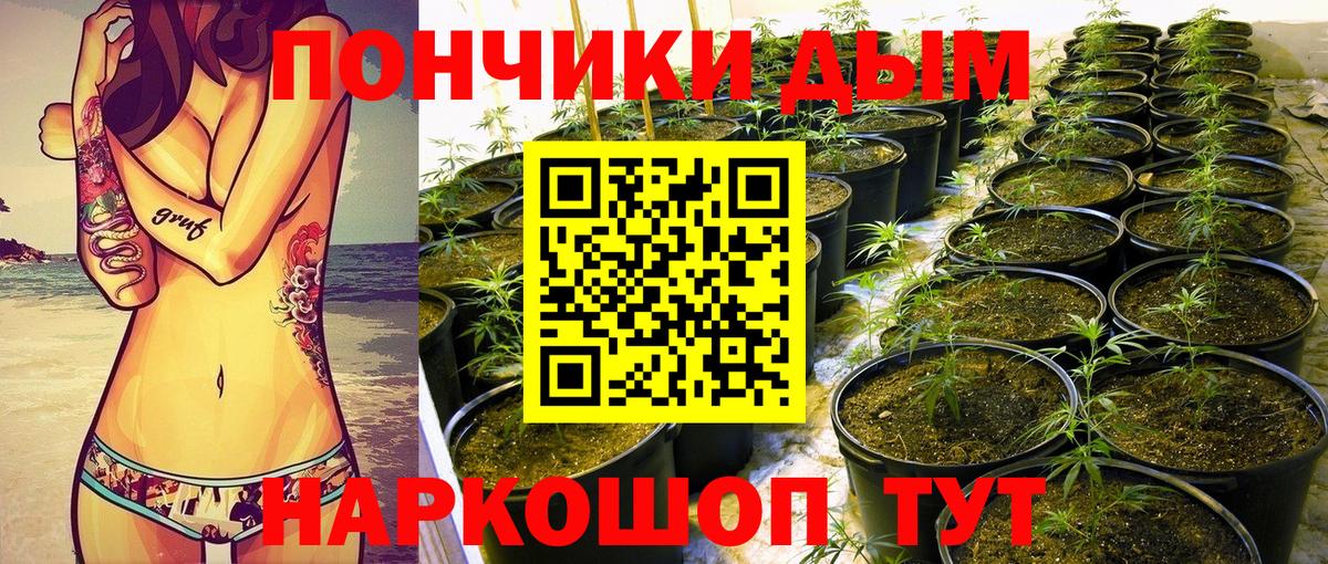 Бошки Шишки марихуана Большой Камень